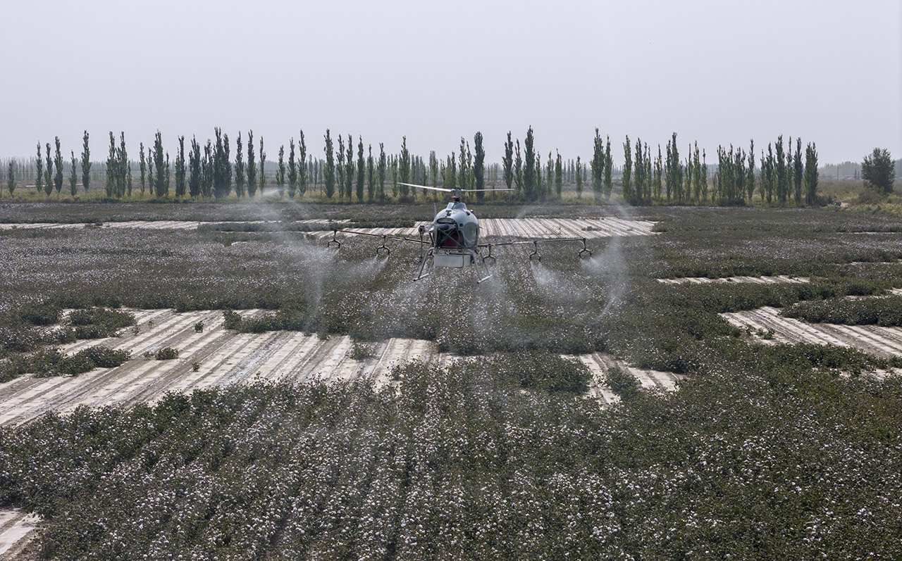 DJI_20240921142645_0140_D_LINTAO2024 2.jpg