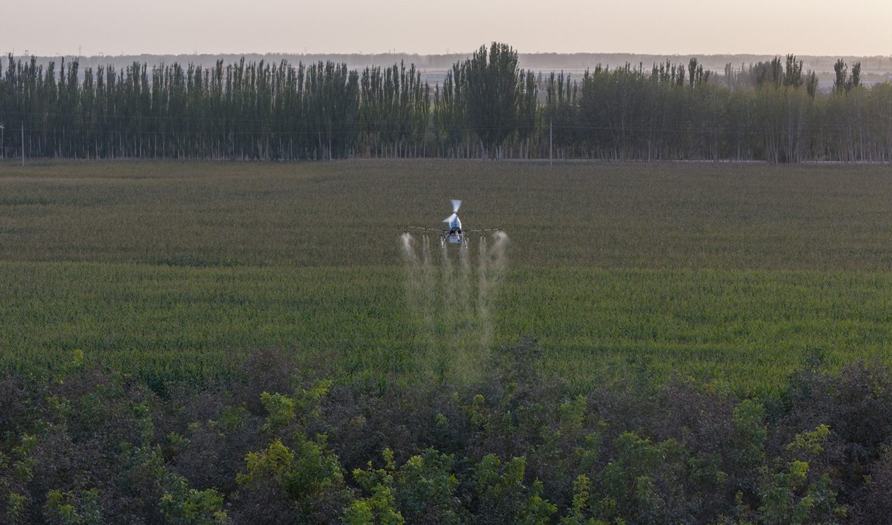 DJI_20240927194910_0117_D_LINTAO2024 拷贝.jpg