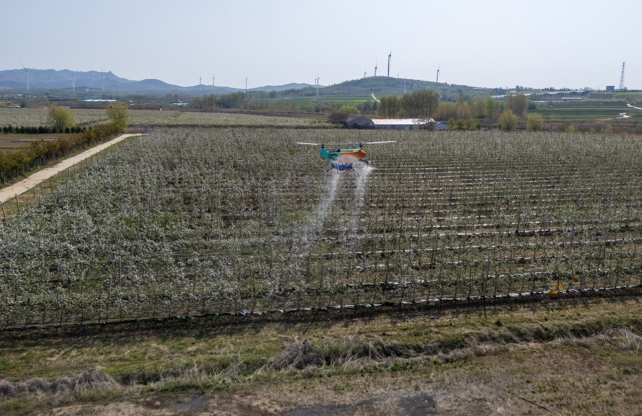 DJI_20250426083530_0004_D_LT25 拷贝.jpg