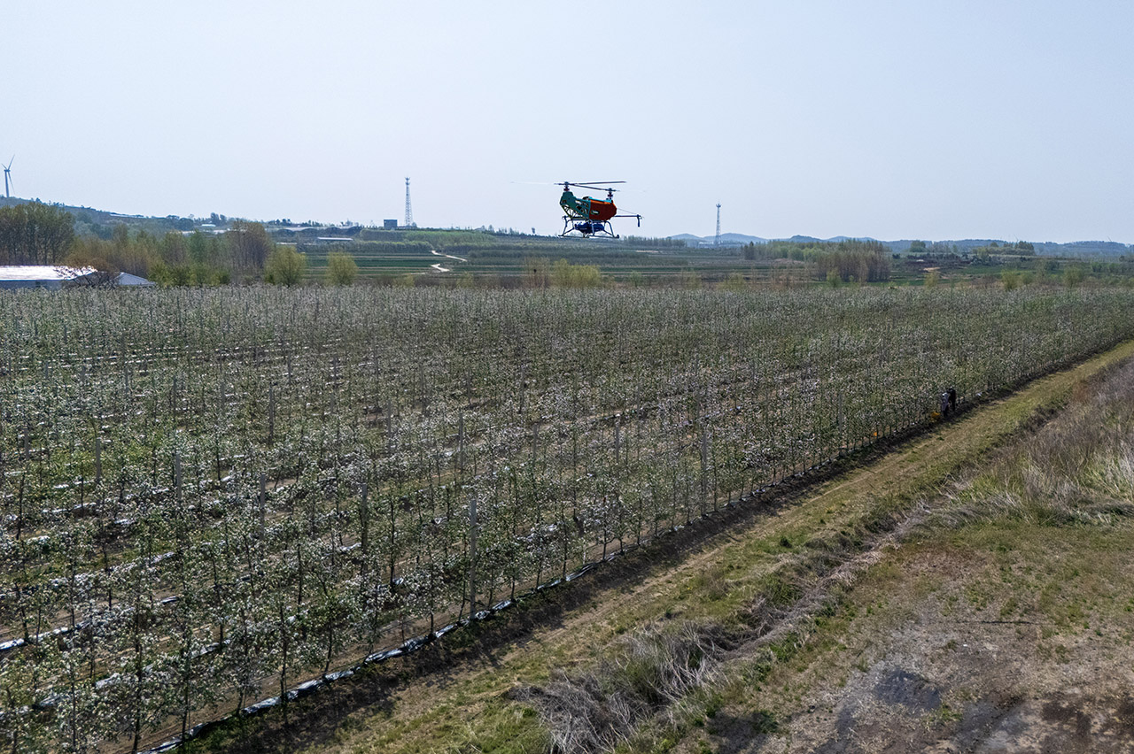 DJI_20250426090633_0017_D_LT25 拷贝.jpg